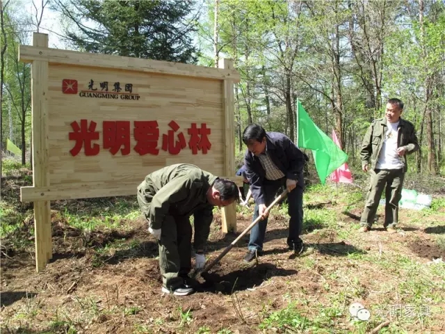 3.12植樹(shù)節(jié)真情演繹綠色文化