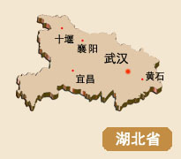 湖北省實(shí)體店